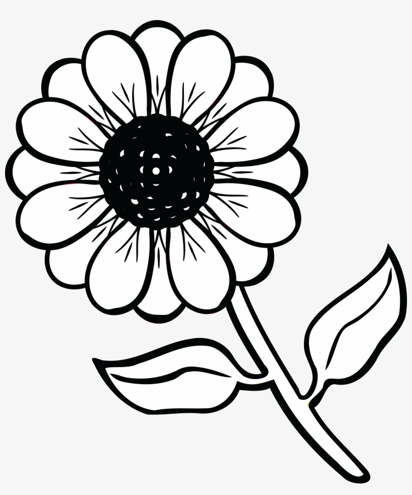 Free Clipart Of A Daisy Flower - Black And White Clip Art Flower, transparent png #848321