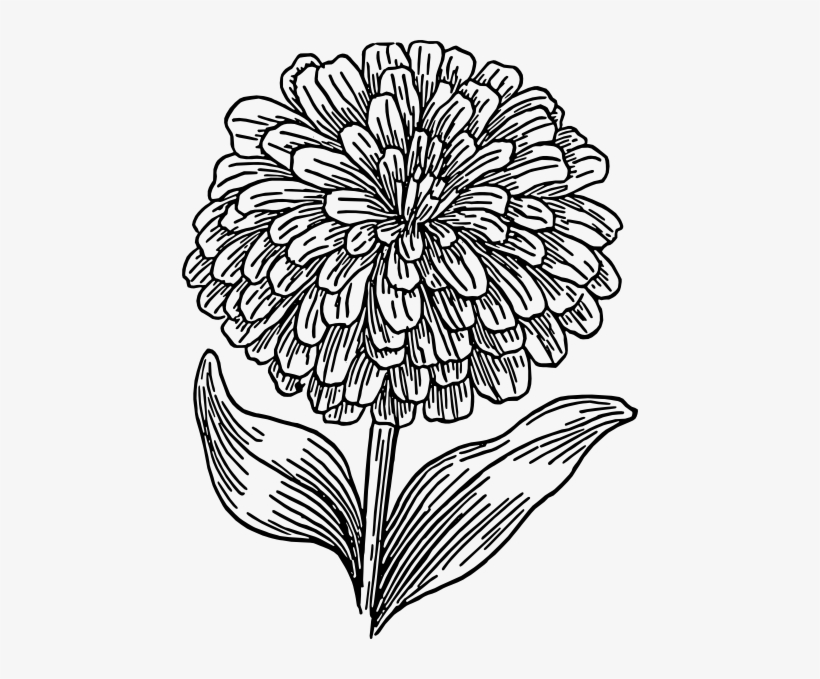 Free Free 293 Flower Svg Clip Art SVG PNG EPS DXF File