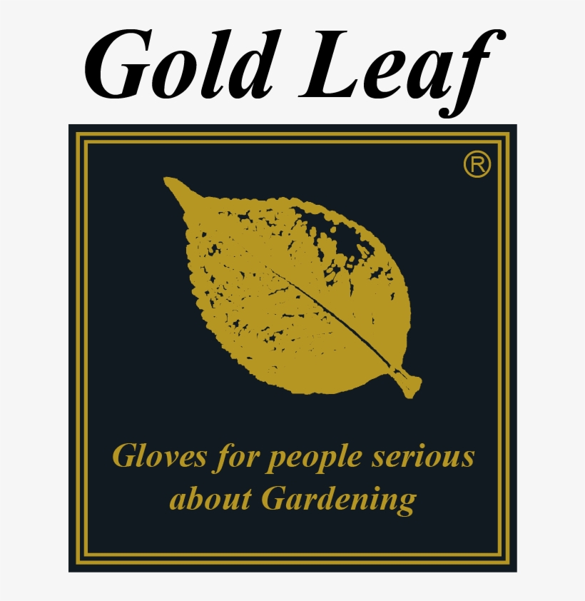 World Renowned Gold Leaf Gloves Are Presented By Jayco, - Knight Piesold, transparent png #8400464