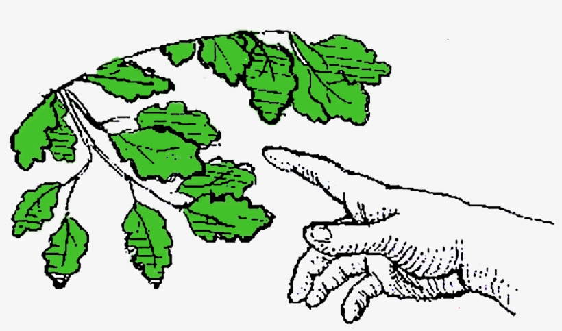 Illustration, transparent png #8402056