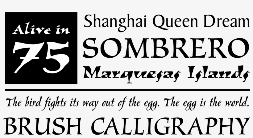 Web Typography Essentials, transparent png #8402881