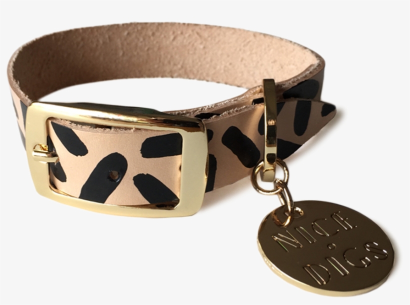 Tiggy Collar - Nice Digs Dog Collar, transparent png #8403411