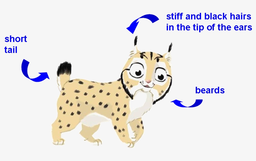 Cartoon, transparent png #8403484