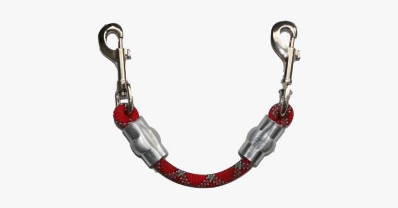 Secondary Leash To Collar/harness Attachment - Earrings, transparent png #8403866