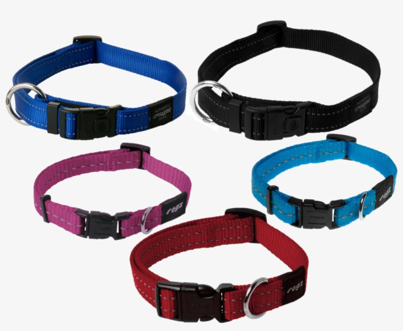 Dog Collar Png - Rogz Collars, transparent png #8404043