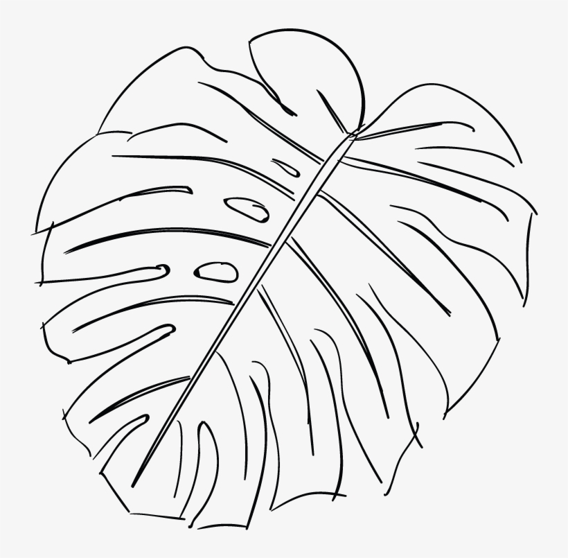 Line Drawing Of A Leaf At Getdrawings - Line Art, transparent png #8405384