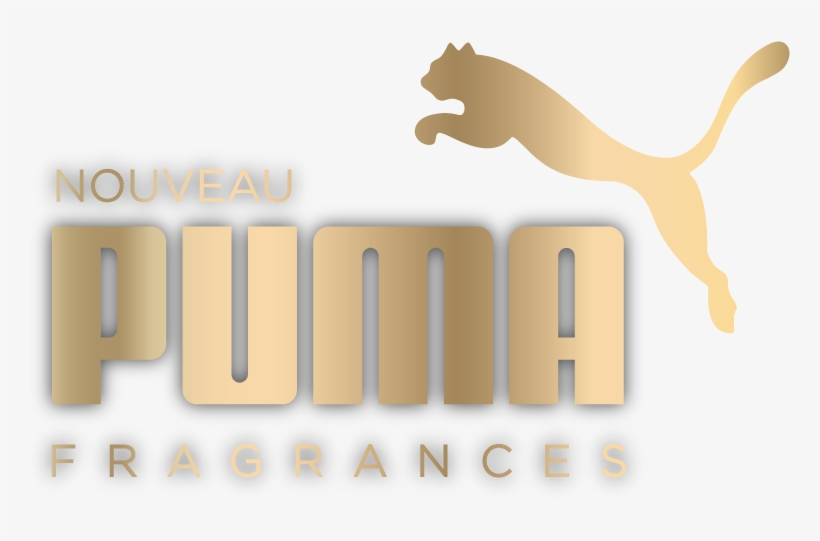 Puma Eyewear, transparent png #8407099
