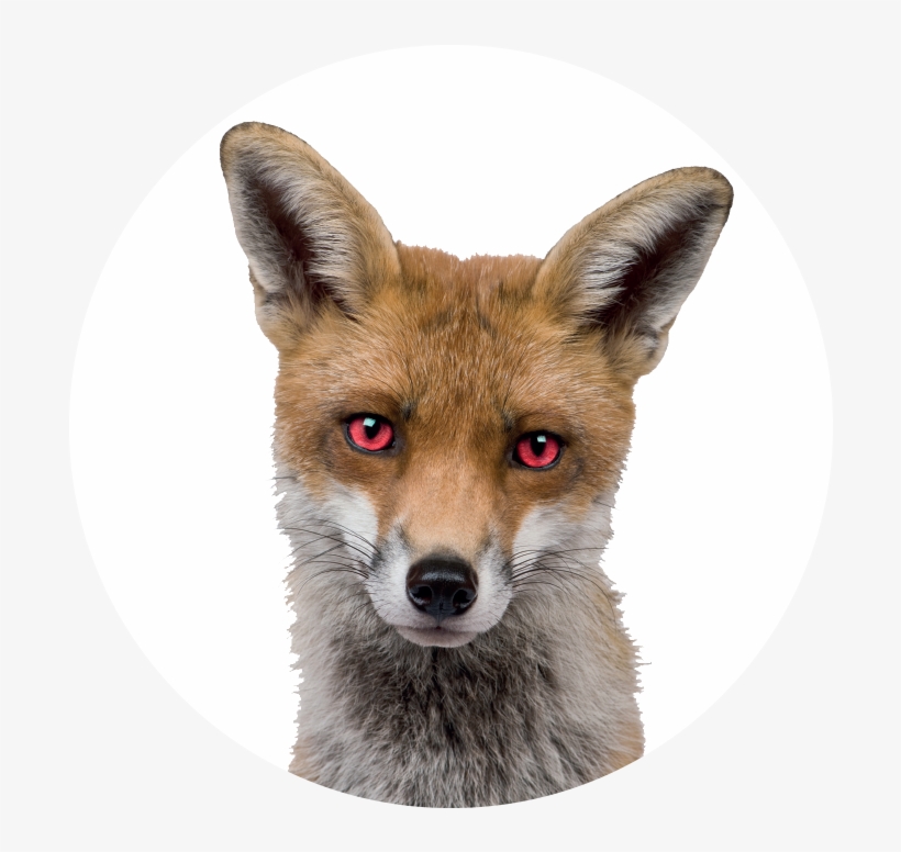 Devil Eyes Png, transparent png #8407779