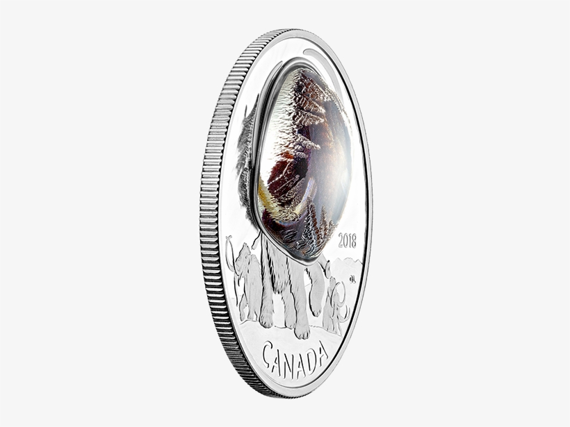 Pure Silver Coloured Coin Frozen In Ice - Silver, transparent png #8408140