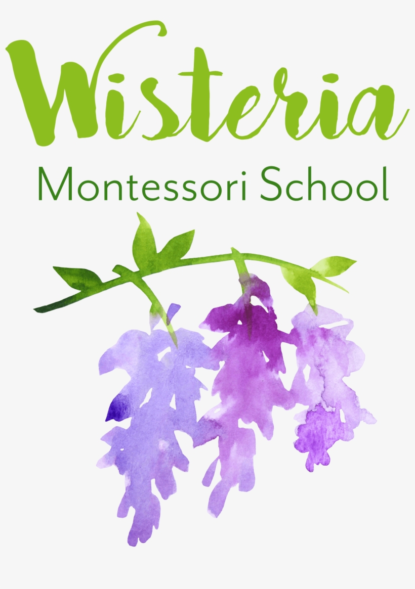 Welcome To Wisteria Montessori School, A Wildflower - Bellflower, transparent png #8408586