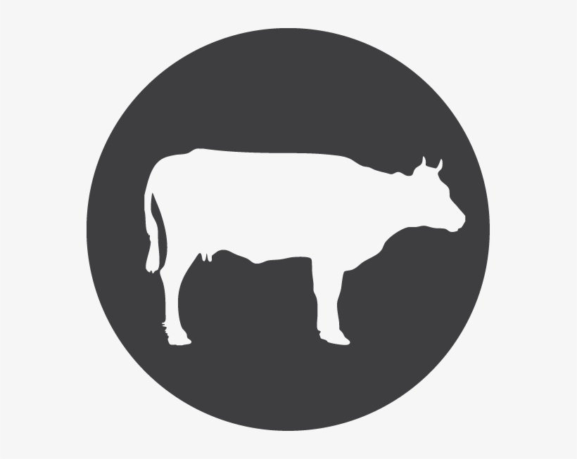 Icon - Beef Cow Icon, transparent png #8409478