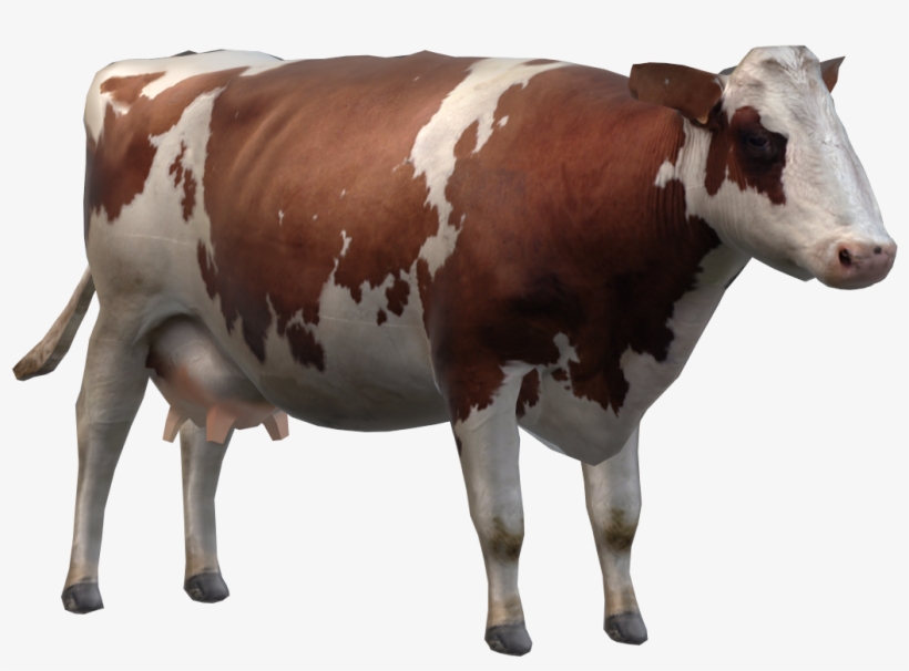Cow - Dairy Cow, transparent png #8409652