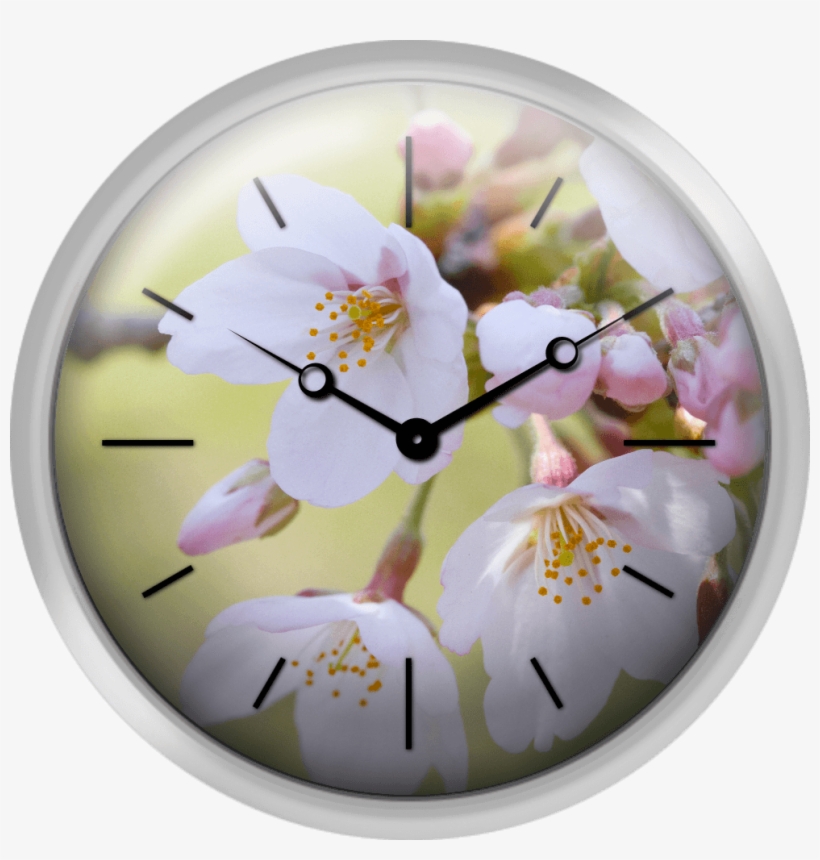 Close Up Of Cherry Blossoms Spring In Japan - Red Wall Clock For Christmas Transparents, transparent png #8409684