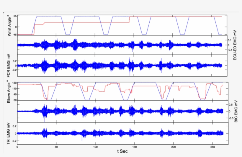 The Representative Emg Trials And Tracking Trajectories - Diagram, transparent png #8409955