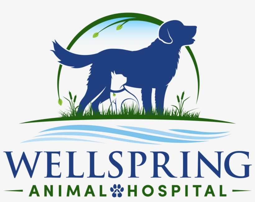 Dog Catches Something, transparent png #8410818