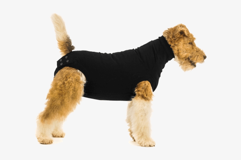 Thumb C2 Adaptiveresize 390 390 Thumb Recovery Suit - Suitical Recovery Suit, transparent png #8411227
