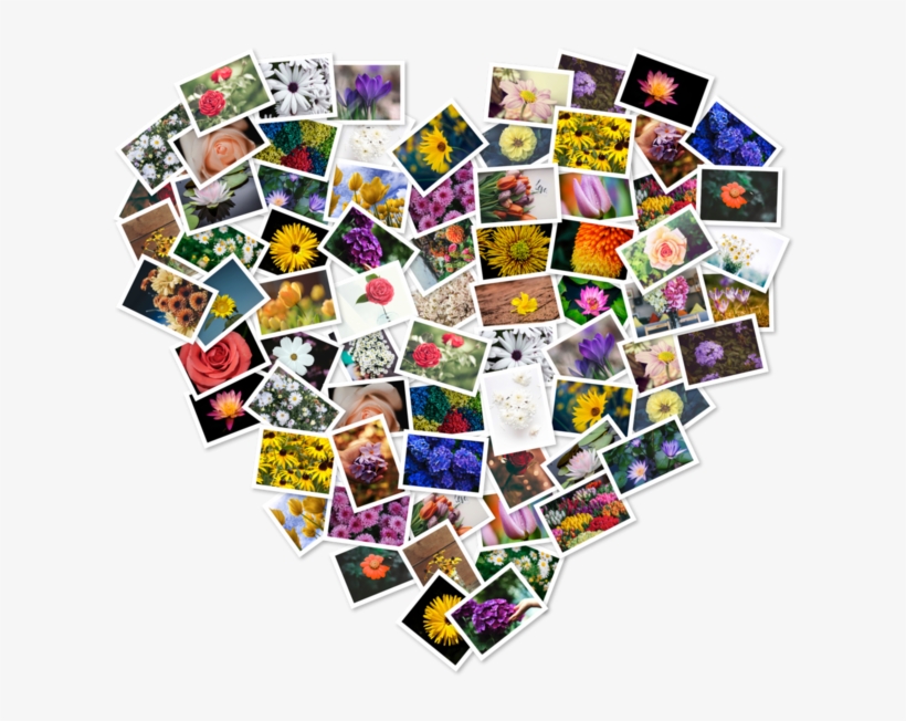 Figrcollage 2 Home Edition En Mac App Store - Figrcollage 2.5 9, transparent png #8413140