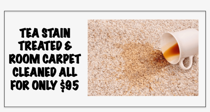 Carpet Cleaning Plus Tea Stain Removed - Team Zeltech, transparent png #8413275