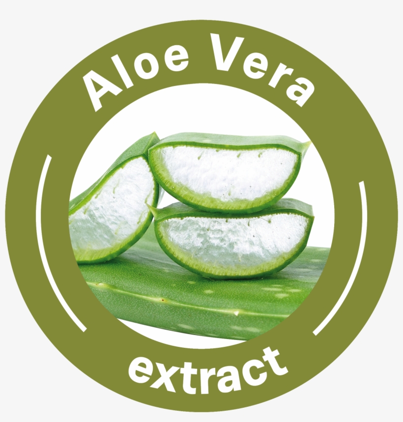 Aloe Vera Textile - Aloe Vera Extract Icon, transparent png #8414251