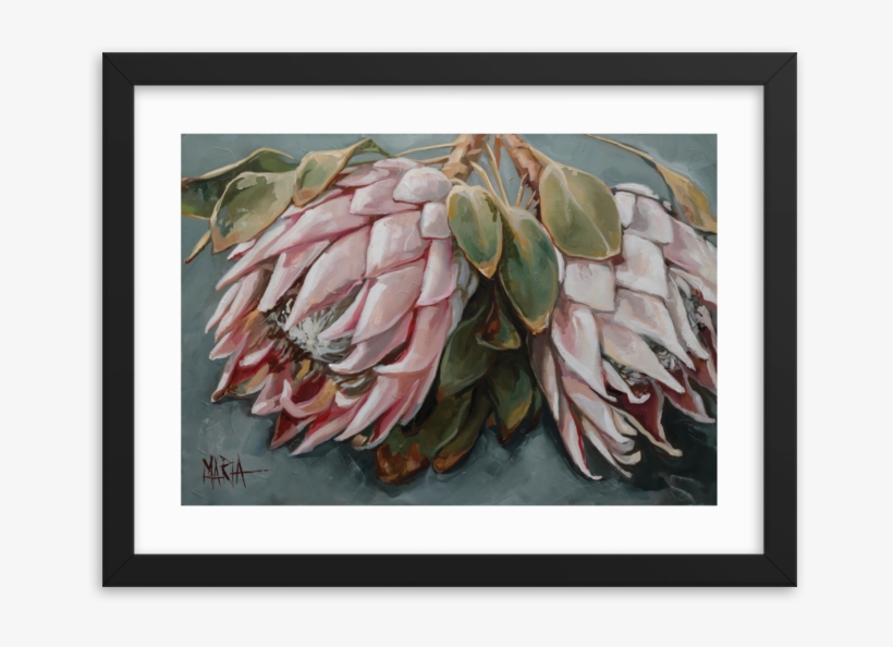 12 X 16 Paper Print - Maria Paintings Proteas, transparent png #8414463