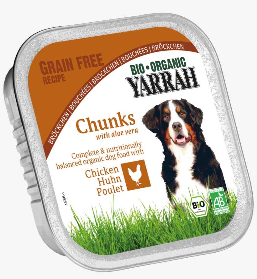 Dog - Yarrah, transparent png #8415609