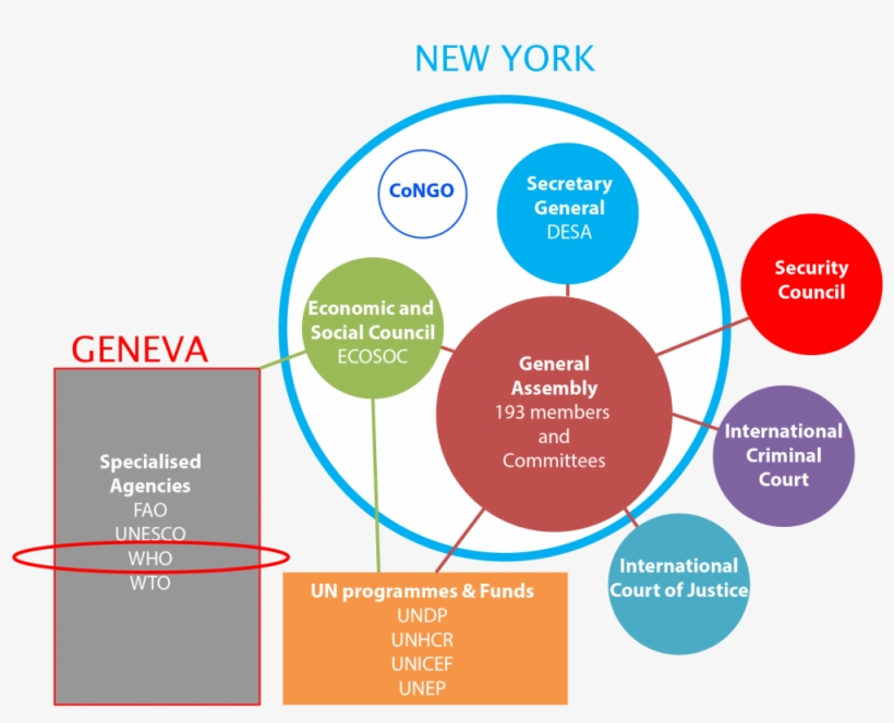 Diagram - Free Transparent PNG Download - PNGkey image.