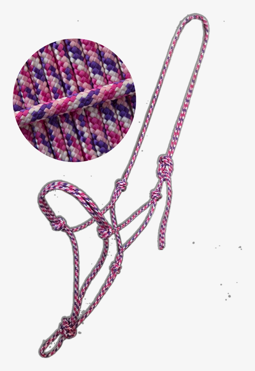 Haubenkönig Rope Halter Girly - Illustration, transparent png #8416717