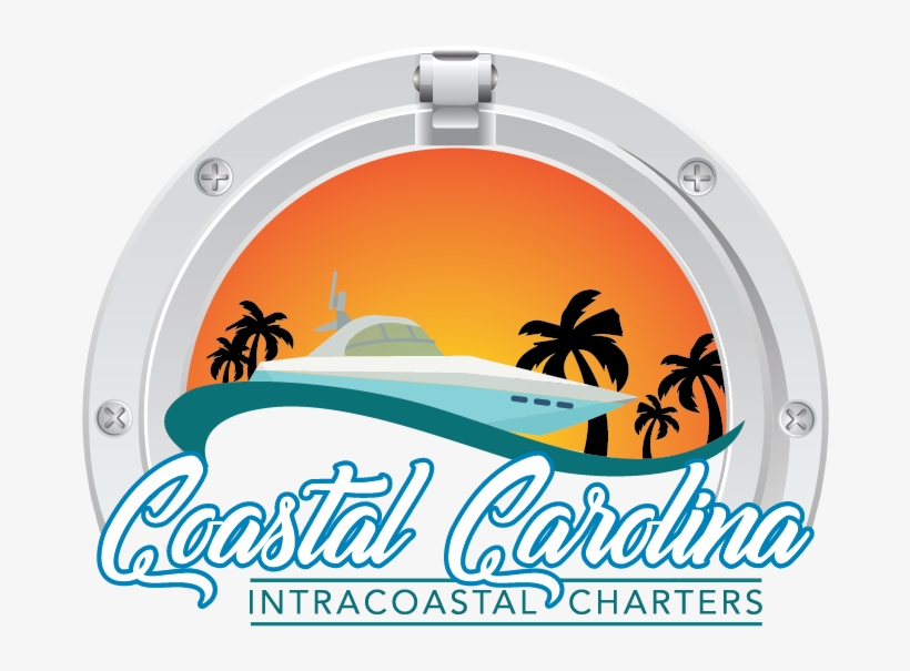 Circle, transparent png #8418797