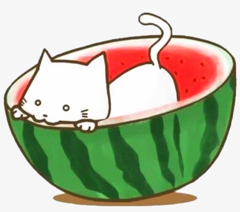 Sctropical Tropical Watermelon Sandia Kawaii Scwatermel - 手机 西瓜 壁纸, transparent png #8421313