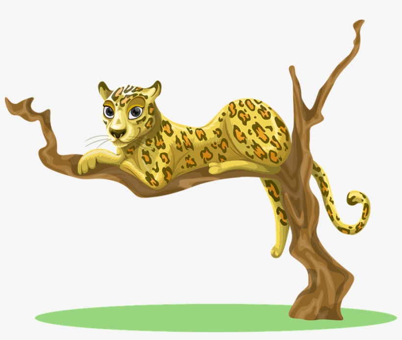 Leopard Sitting Free Vector Graphic On Pixabay - Leopard In Tree Cartoon, transparent png #8421364