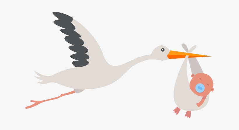 Stork Png Transparent Background - Duck, transparent png #8423416