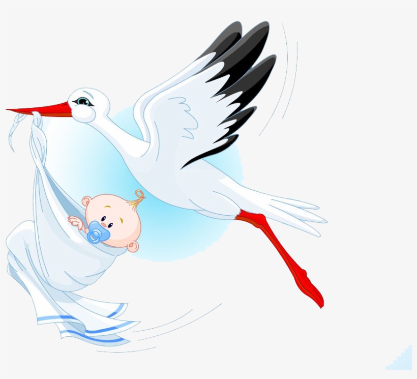 Pigeons And Doves, transparent png #8423453