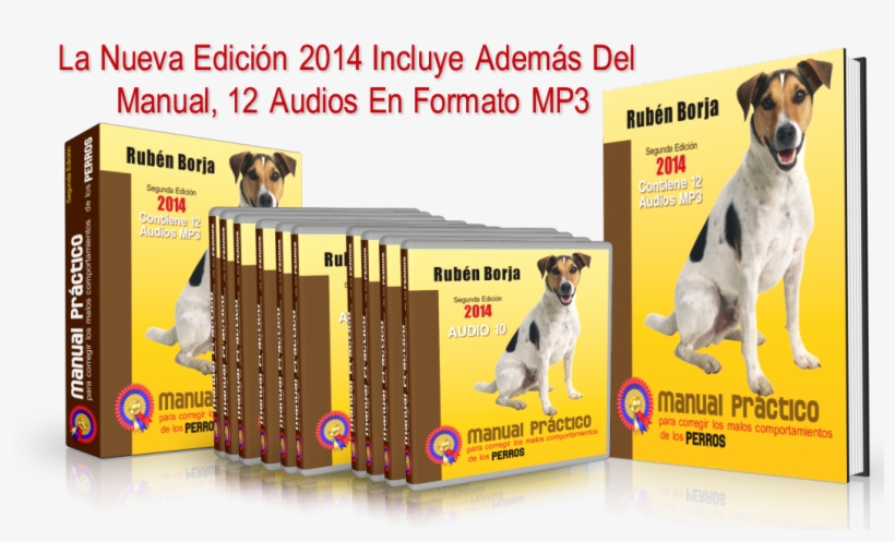 Pack - Animals, transparent png #8424517