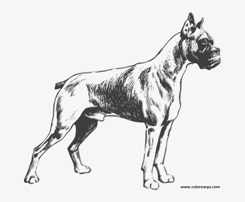Dibujos Colorear Perro, transparent png #8424564