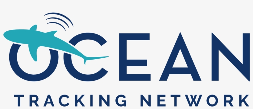 Colour Png - Graphic Design, transparent png #8424604