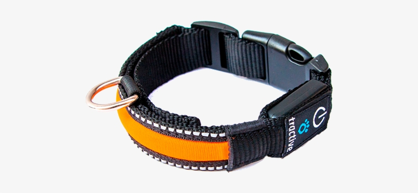Collar Para Perros Led Tractive - Accesorio De Perro Png, transparent png #8424721