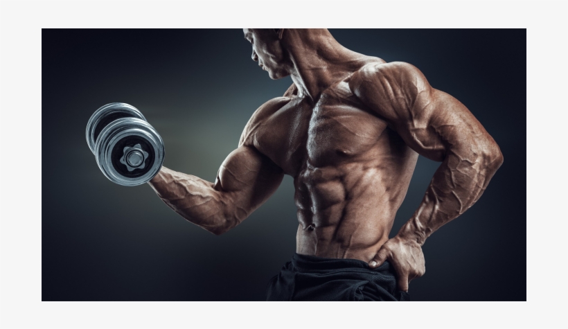 There Are Numerous Supplements In The Market That Improves - Bodybuilding, transparent png #8425065