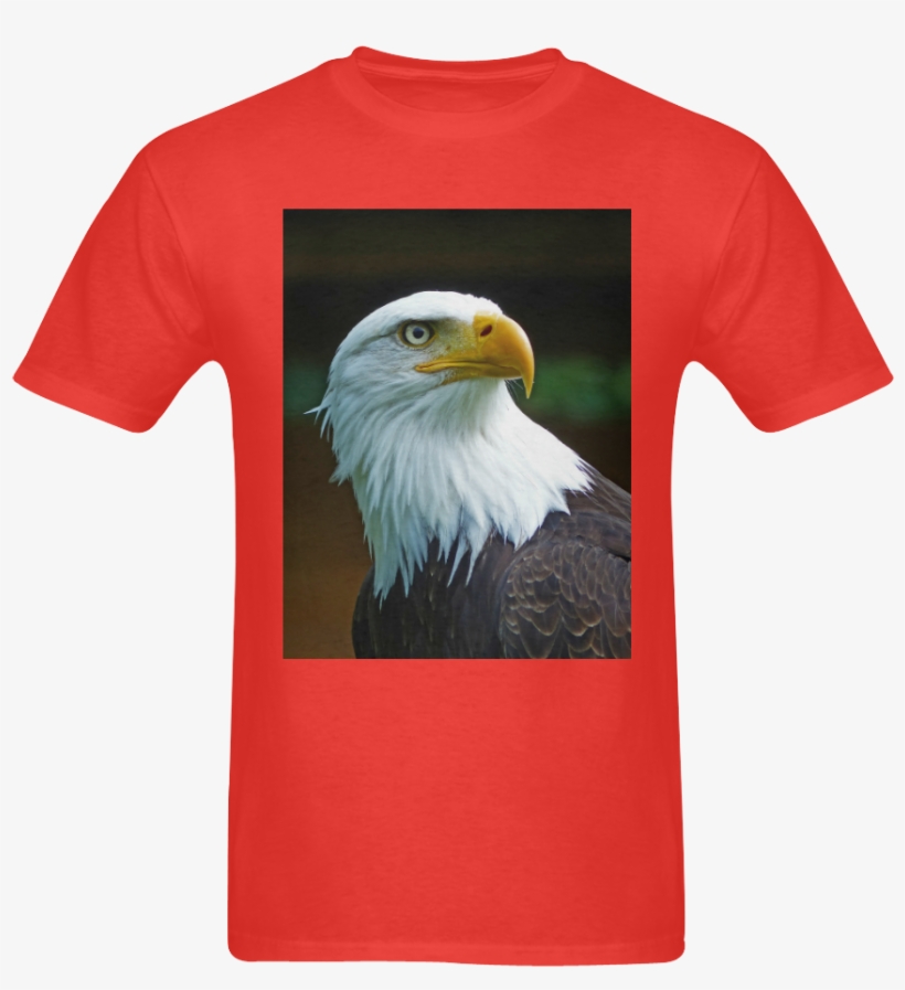 Bald Eagle, transparent png #8427371
