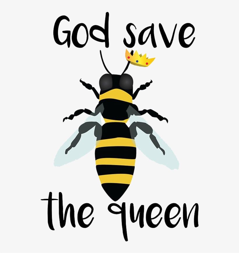 Bee Pollinators - T-shirt, transparent png #8427479