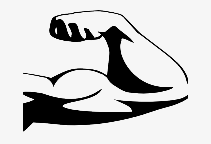 Arm Muscles Transparent Background, transparent png #8428539
