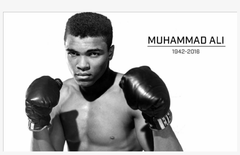 Signed Mohammed Ali Glove & 1st Edition Mohammed Ali - Muhammad Ali Boxing Lounge, transparent png #8431019