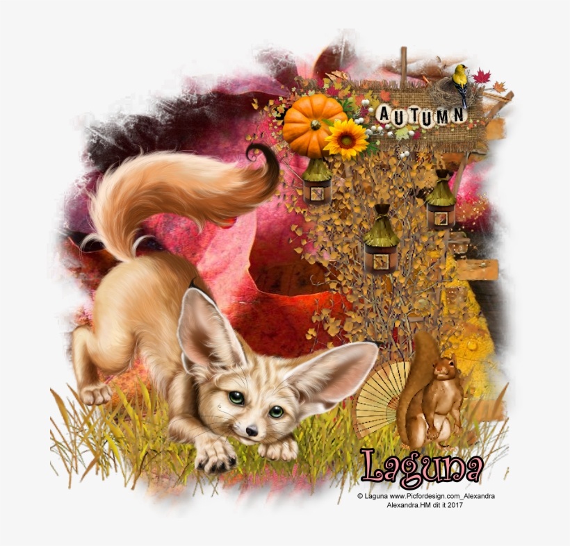 Juli - Fennec Fox, transparent png #8431736