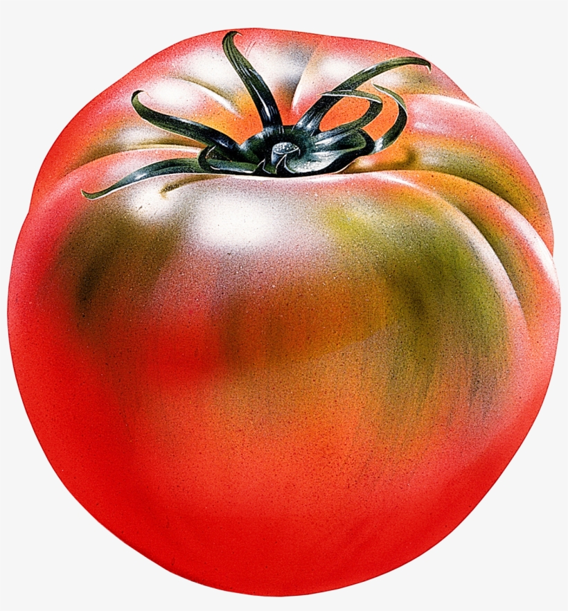 Red Tomatoes - 番茄 麥克 筆, transparent png #8432284