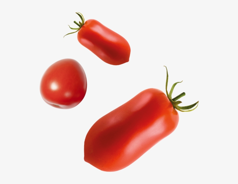 Tomatoes Taglierina With Manual Supply - Plum Tomato, transparent png #8432698