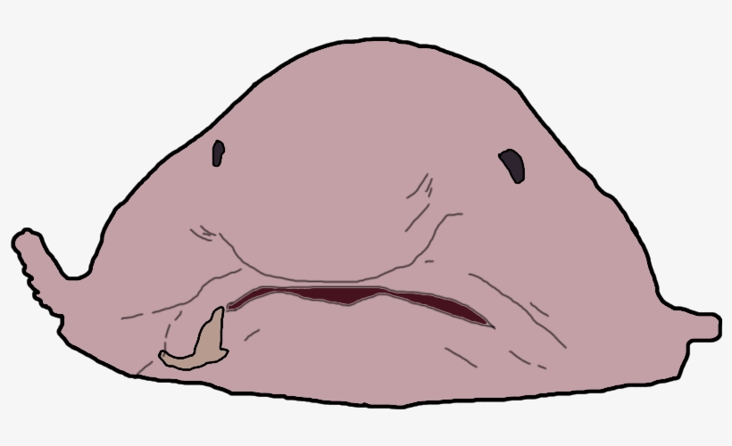 Exposed Reached 1000 Sales And 200 New Achievements, transparent png #8434049