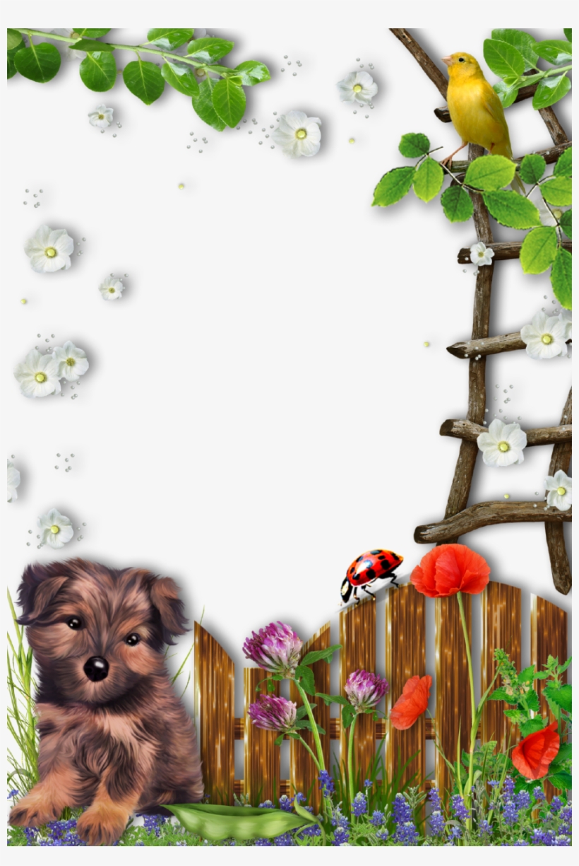 Frame For Photo - Frame Transparent Dog, transparent png #8434096