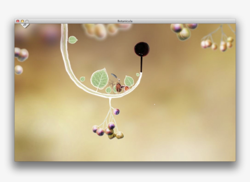 Level 2 - Floral Design, transparent png #8434249