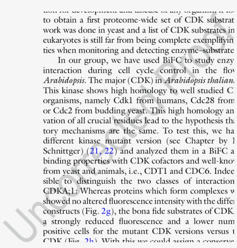 Infiltration Of Tobacco Leaves - Document, transparent png #8434308
