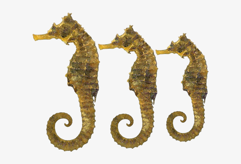 Related To Fish Vector Clip Art Online Royalty Free, transparent png #8436095