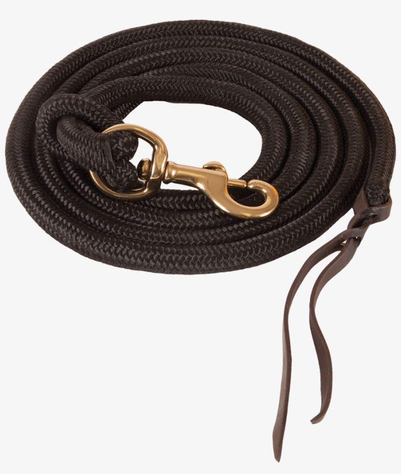 Https - //www - Pfiwestern - Com/mustang Black Poly - Belt, transparent png #8436774